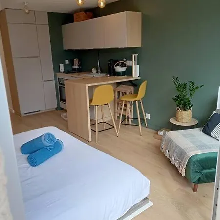 Ty Jolie Super Grand Studio Avec Parking Et Terrasse Rennes Buitenkant foto